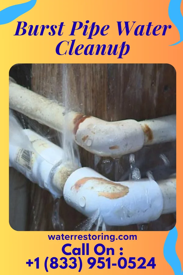 Burst Pipe Water Cleanup in Browndell, TX