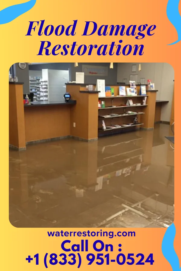 Flood Damage Restoration in Browndell, TX