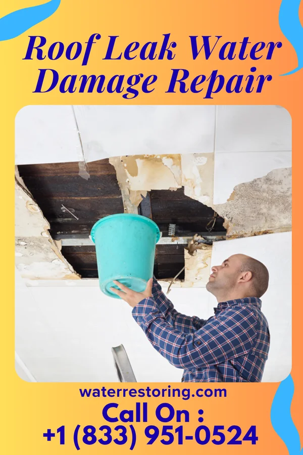 Roof Leak Water Damage Repair in Browndell, TX