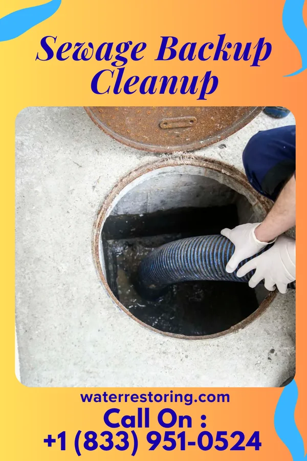 Sewage Backup Cleanup in Browndell, TX