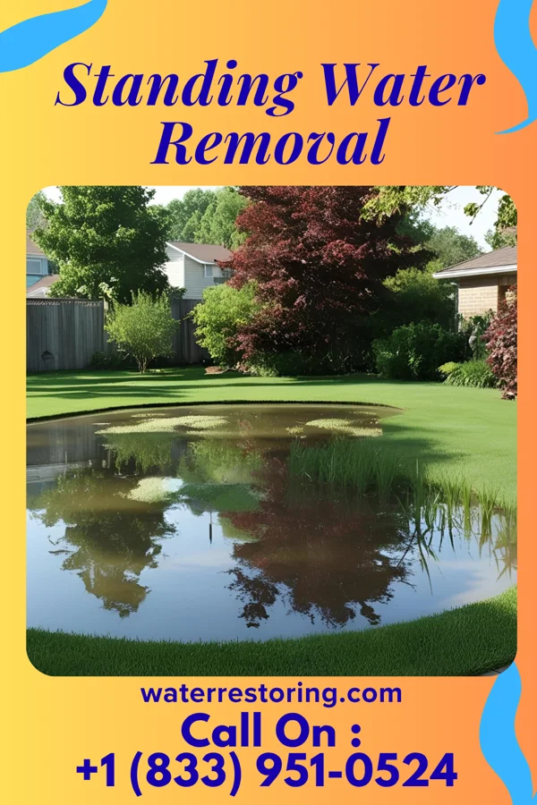 Standing Water Removal in Browndell, TX